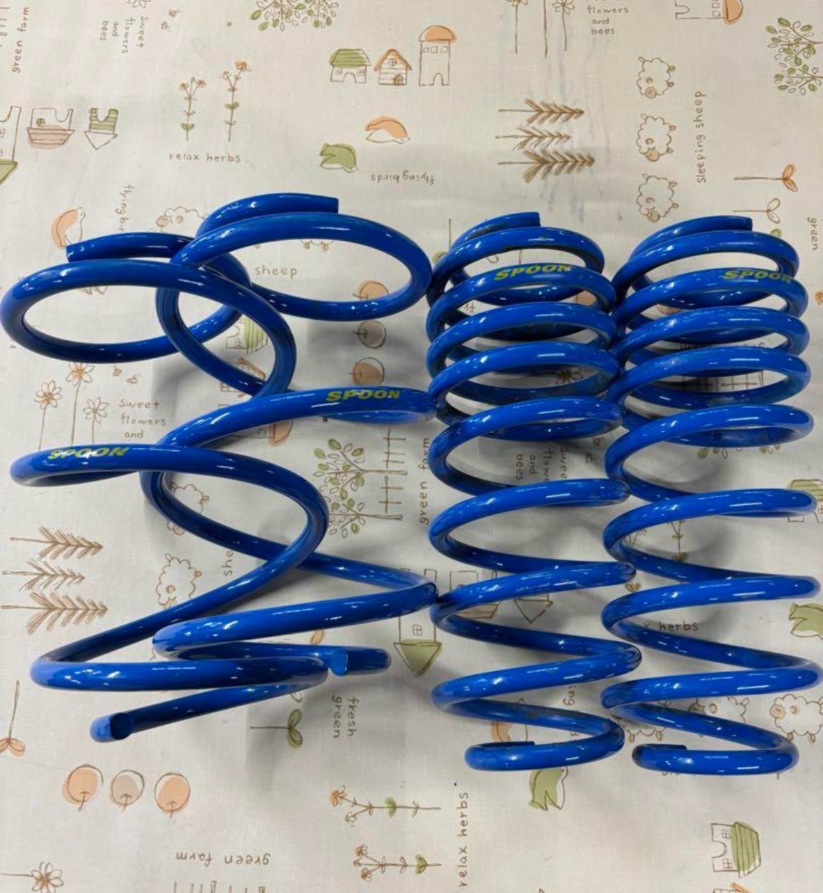 Honda Civic FK7 Spoon Springs